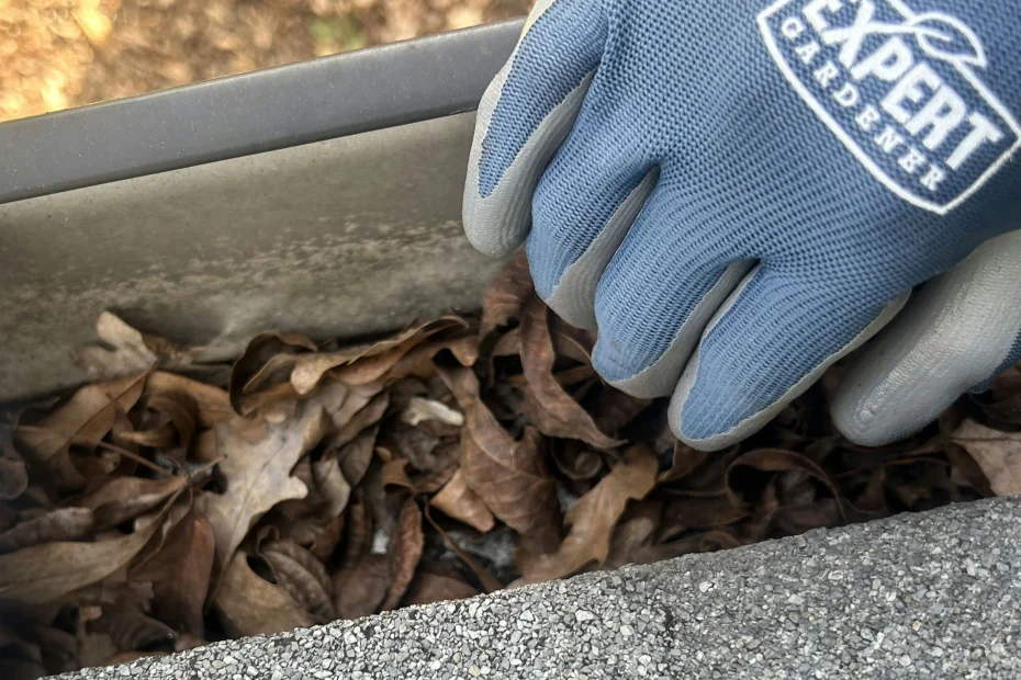 Gutter Cleaning New Albany