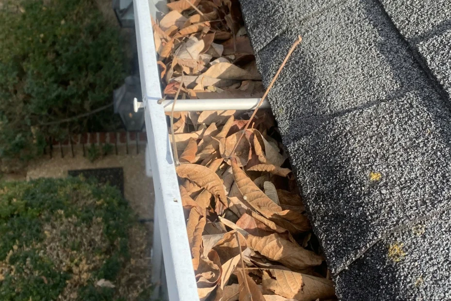 Gutter Cleaning New Albany