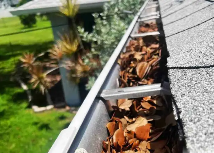 Gutter Cleaning New Albany home page